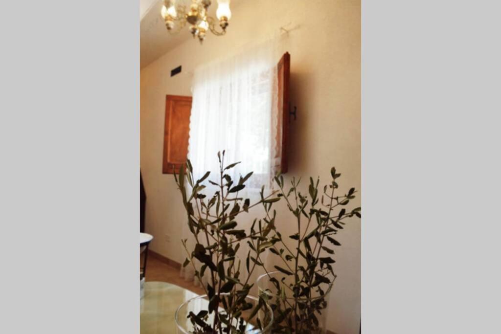 Villa Trulli Villa Castelli Esterno foto