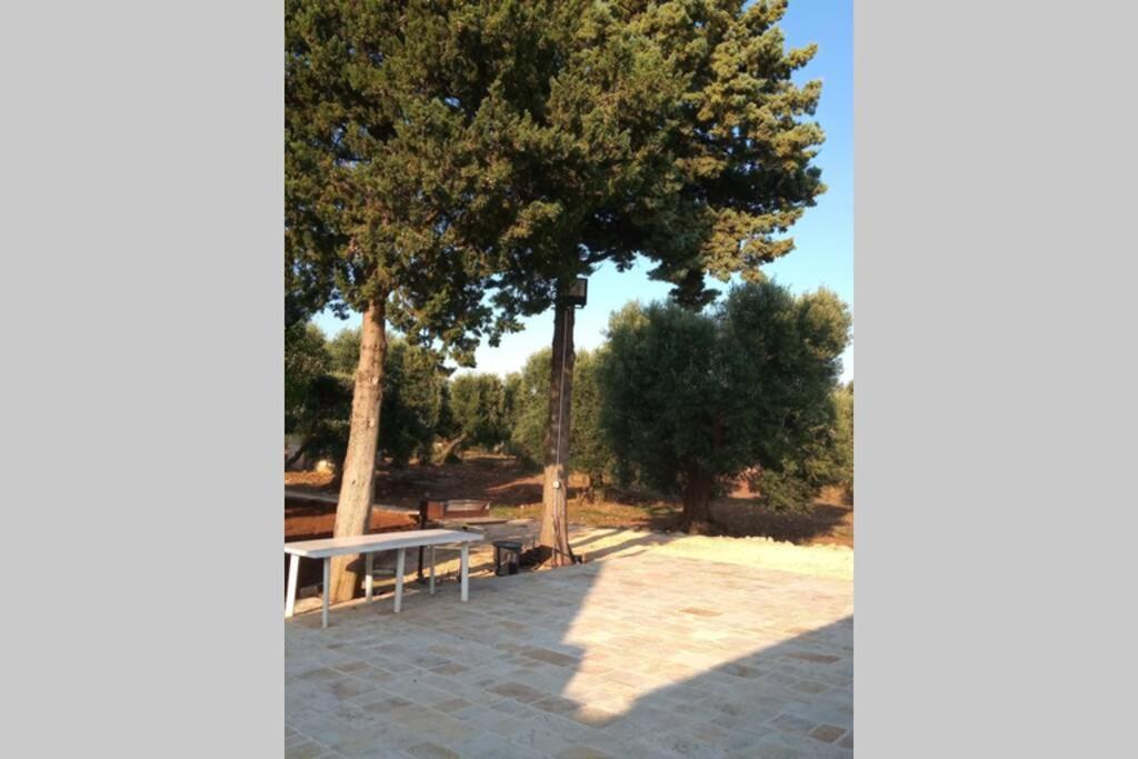 Villa Trulli Villa Castelli Esterno foto