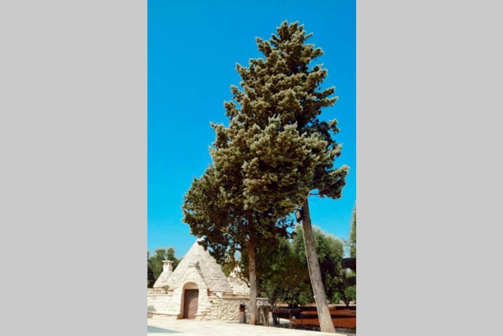 Villa Trulli Villa Castelli Esterno foto