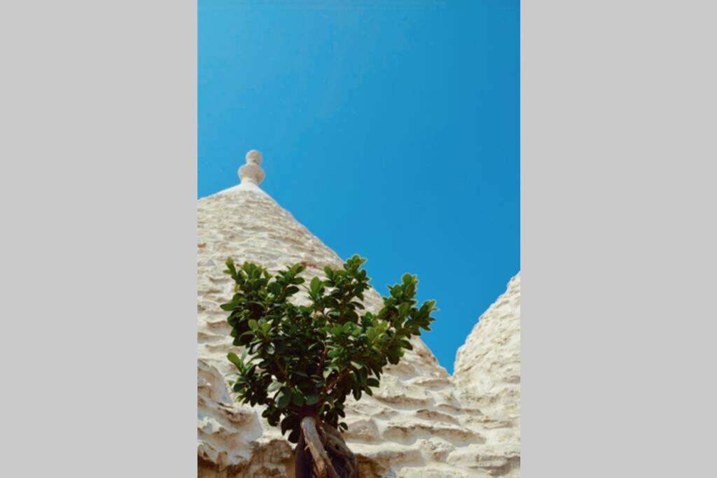 Villa Trulli Villa Castelli Esterno foto